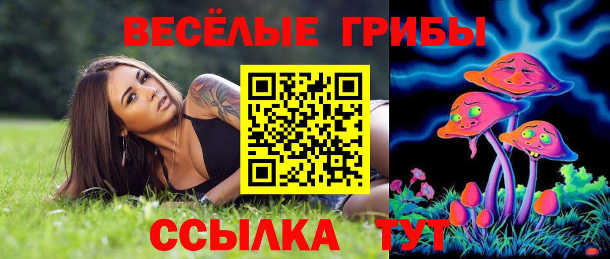 Псилоцибиновые грибы MAGIC MUSHROOMS Королёв